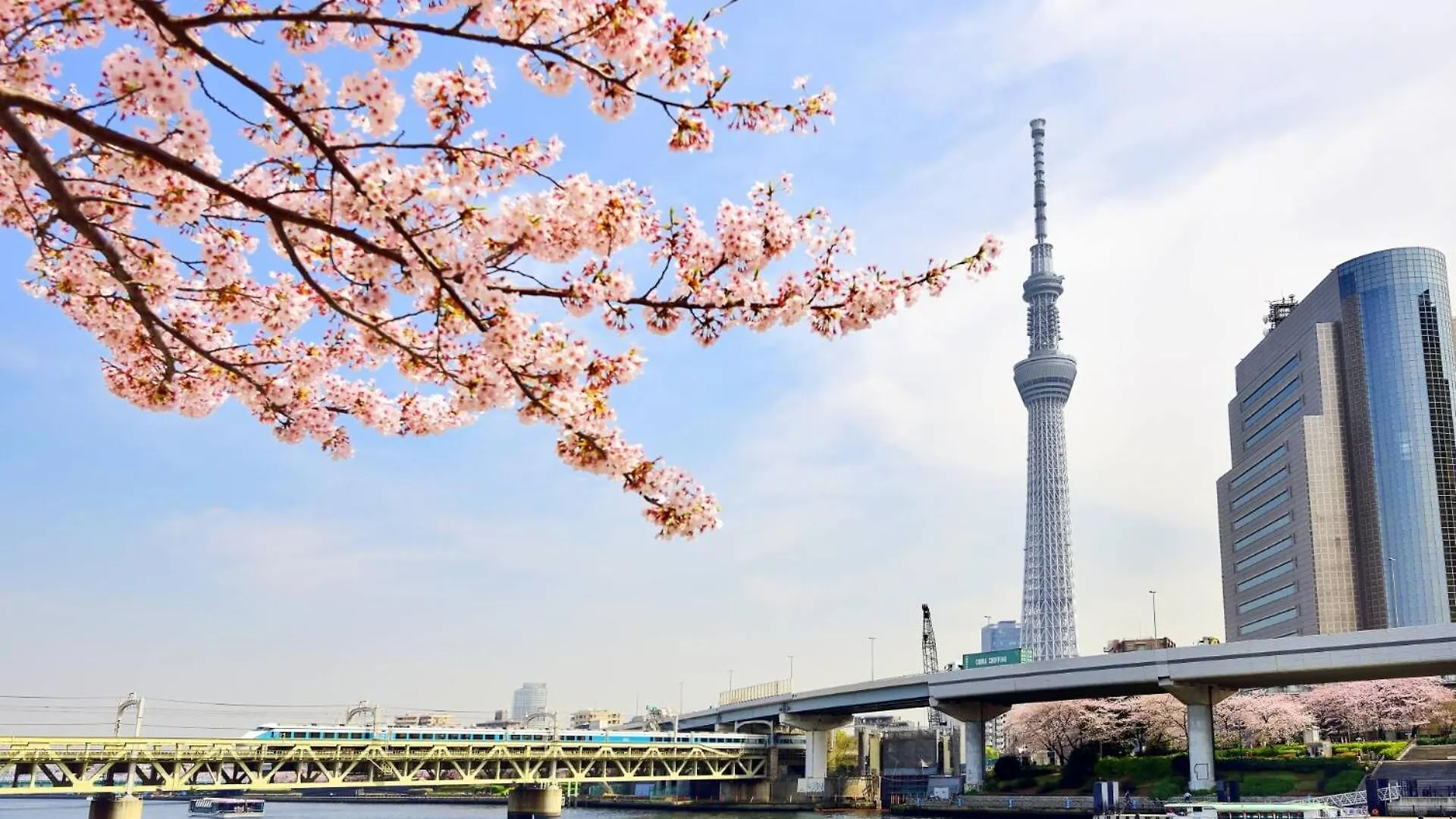 Honeys Guest House Tokyo 0*,